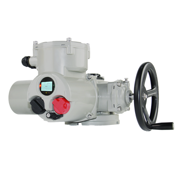 valve actuator for water treatment